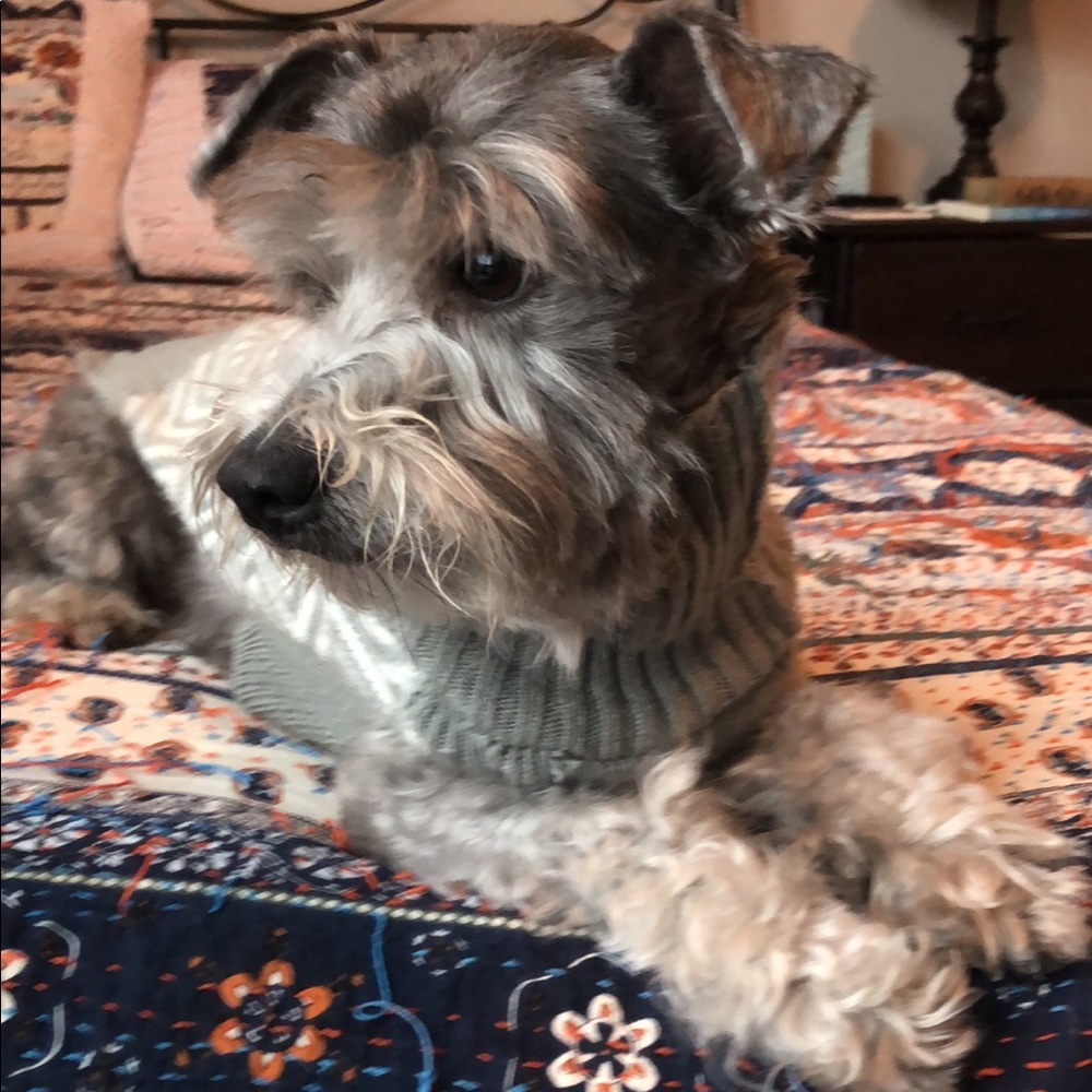 Meet your Posher, Harleigh